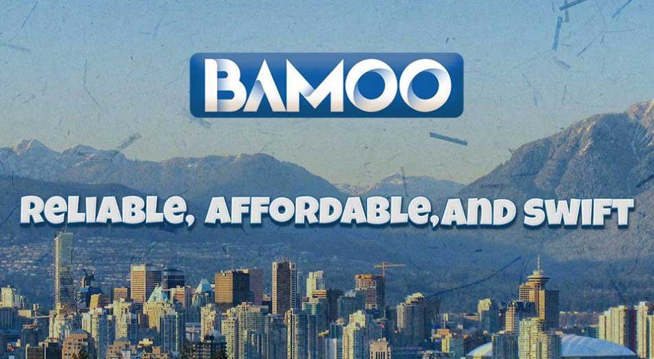 about bamoo Cleaning